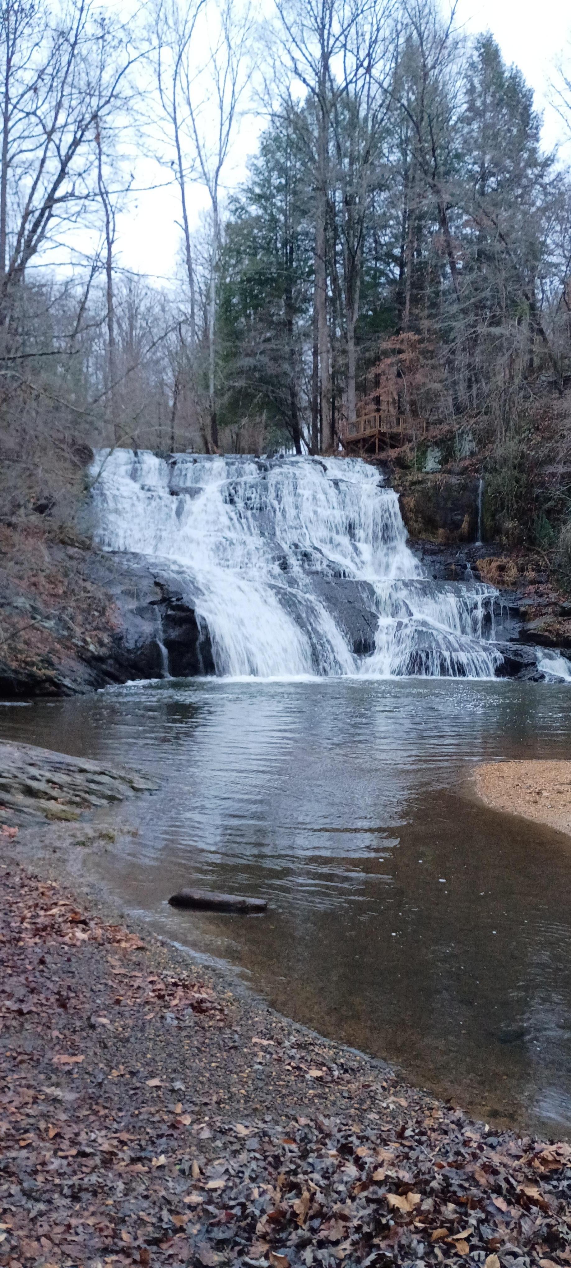 Came Creek falls 