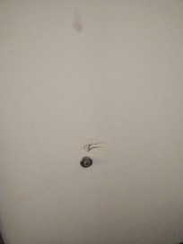 Walls in bad repair