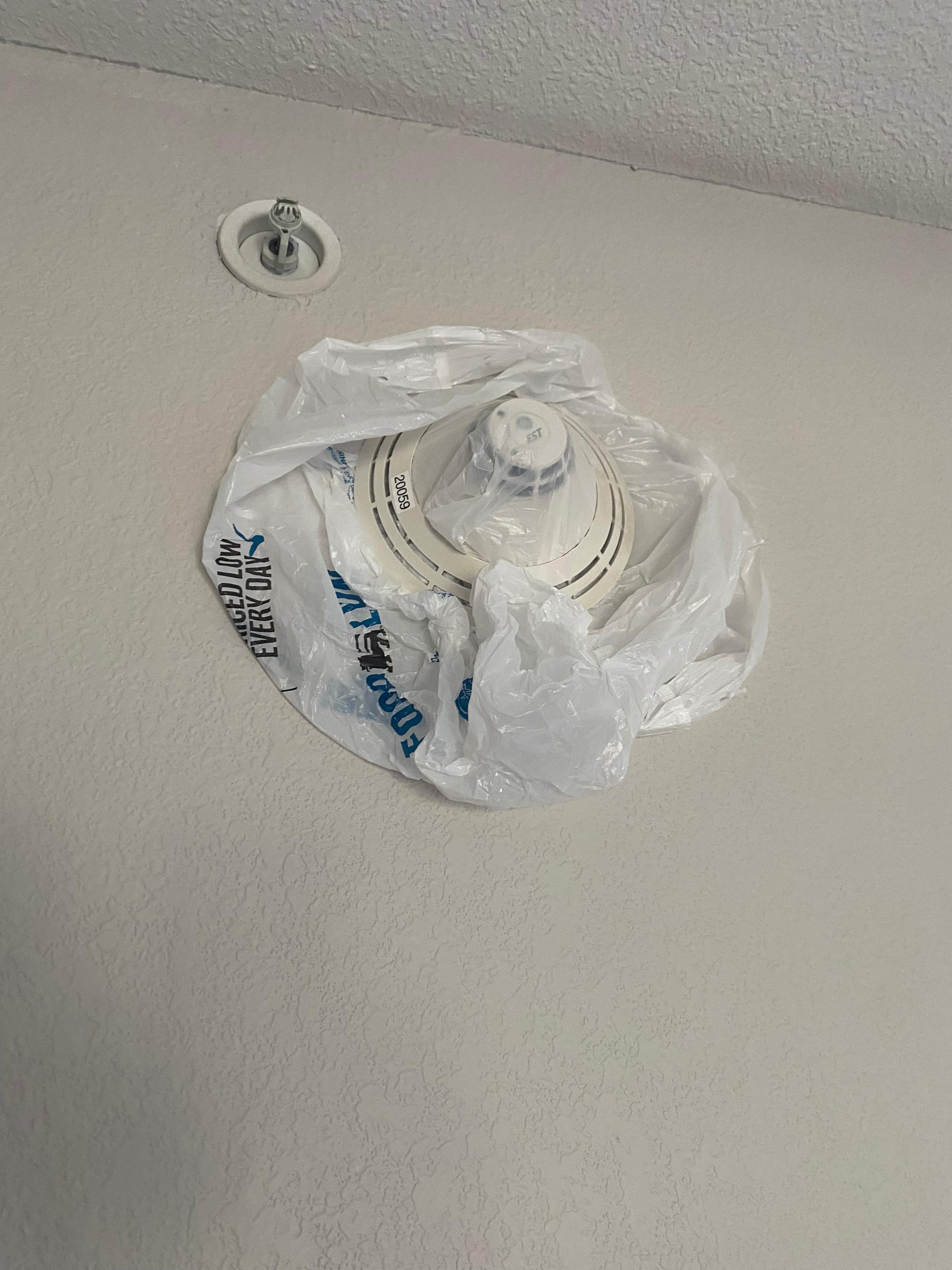 The picture of the bag over the smoke detector.