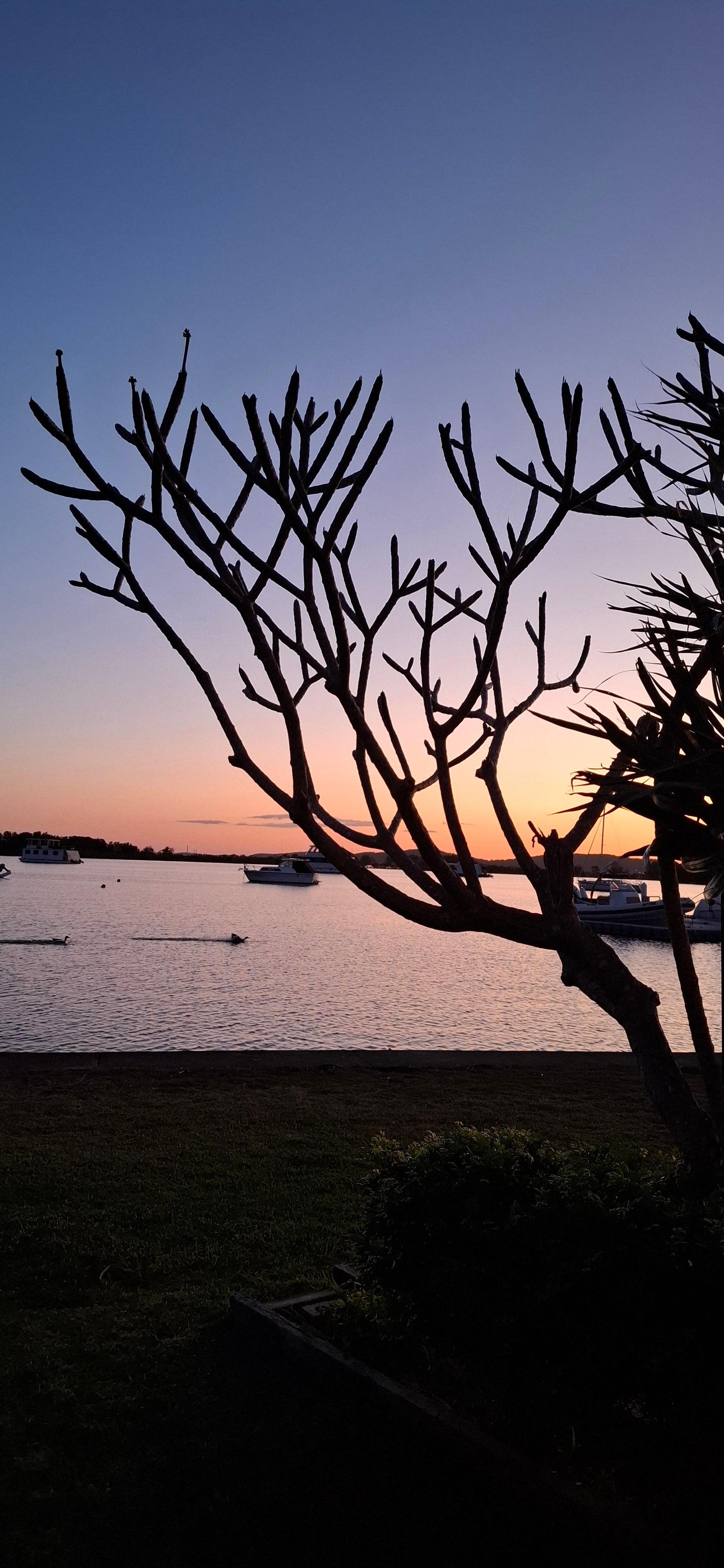 Great sunsets out the back 😍