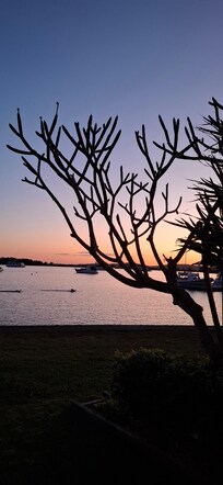 Great sunsets out the back 😍