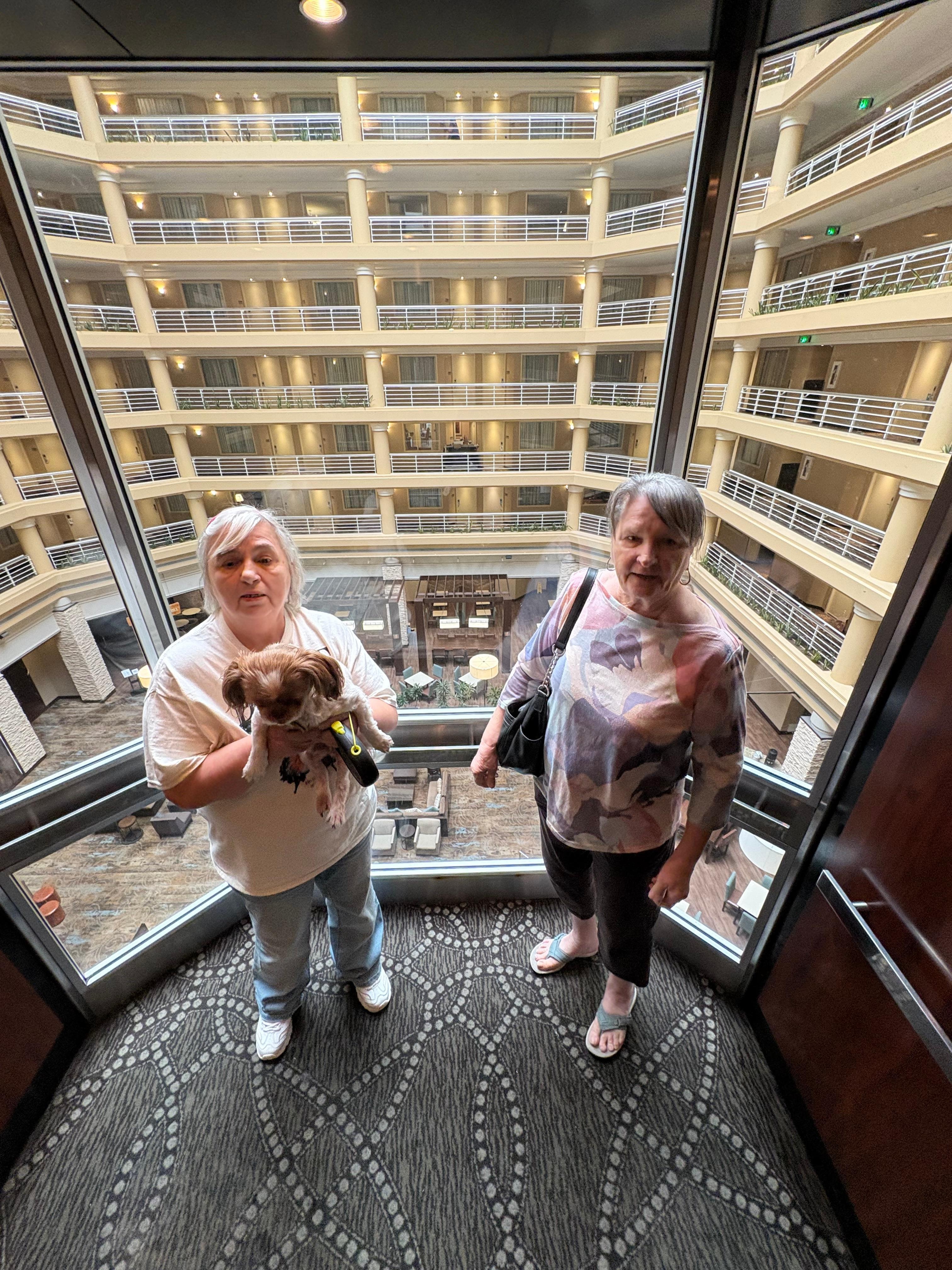 Glass elevator 