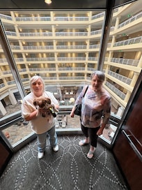 Glass elevator