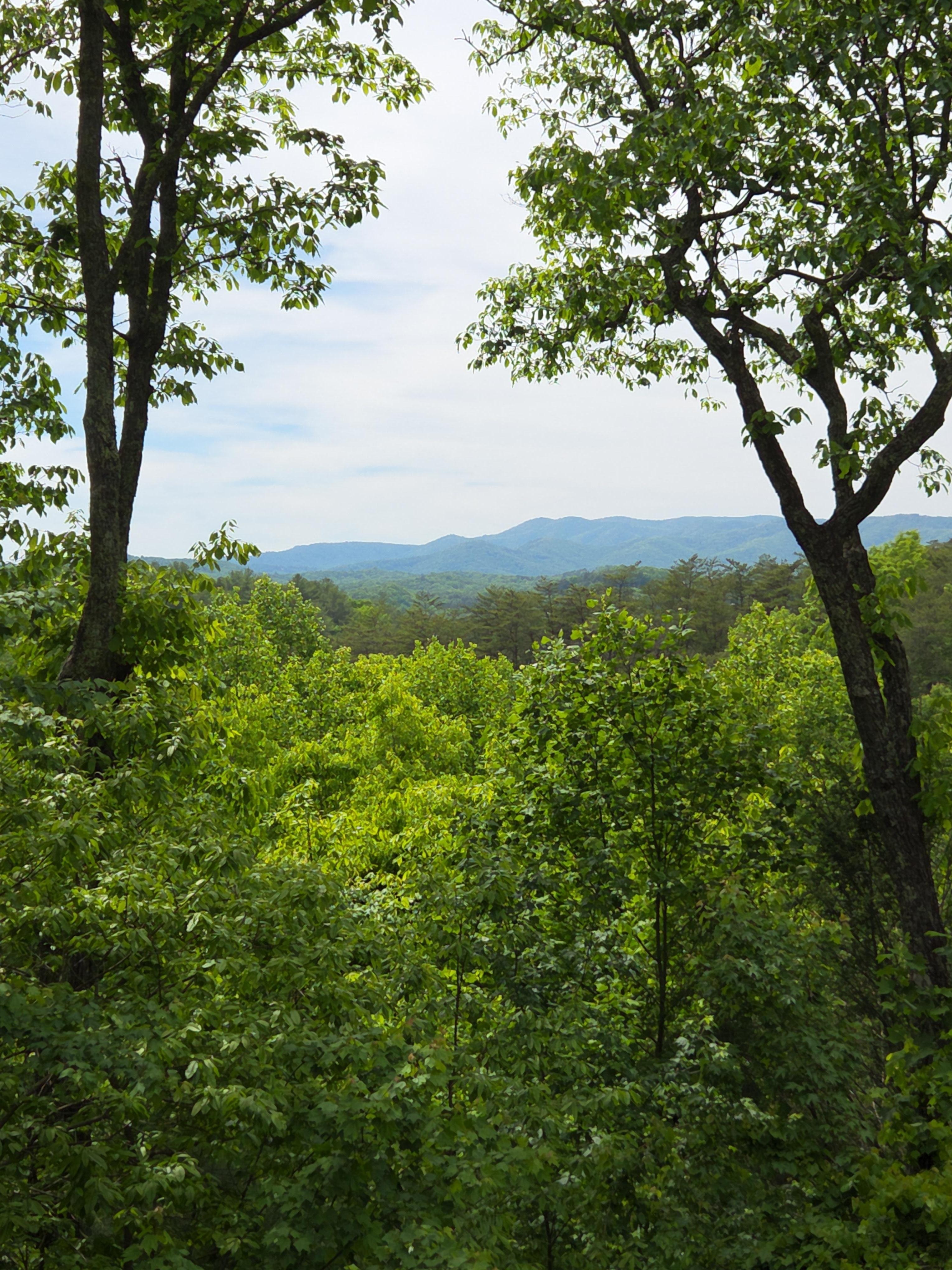 View from the back deck area.