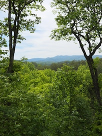 View from the back deck area.