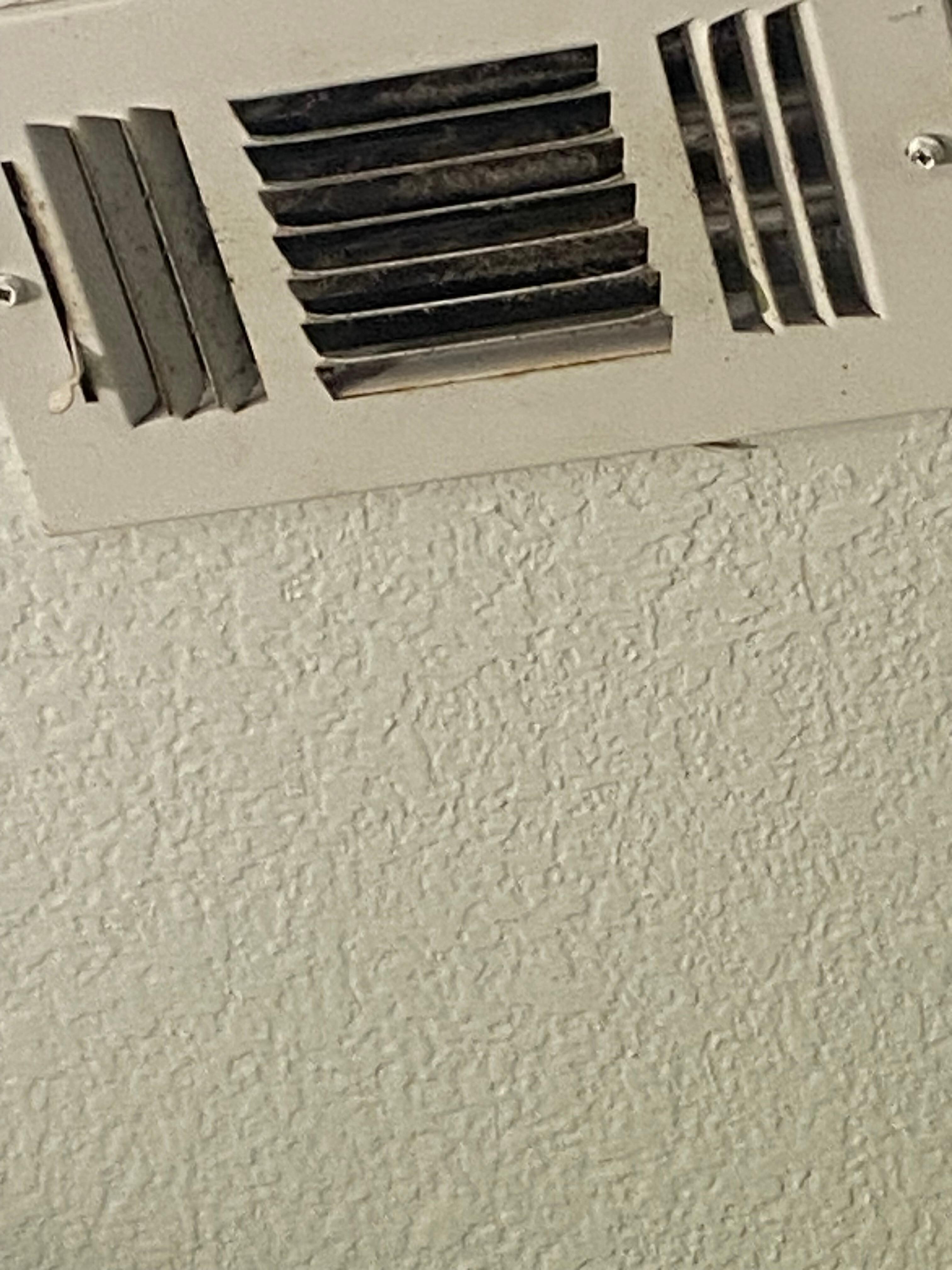 Mold