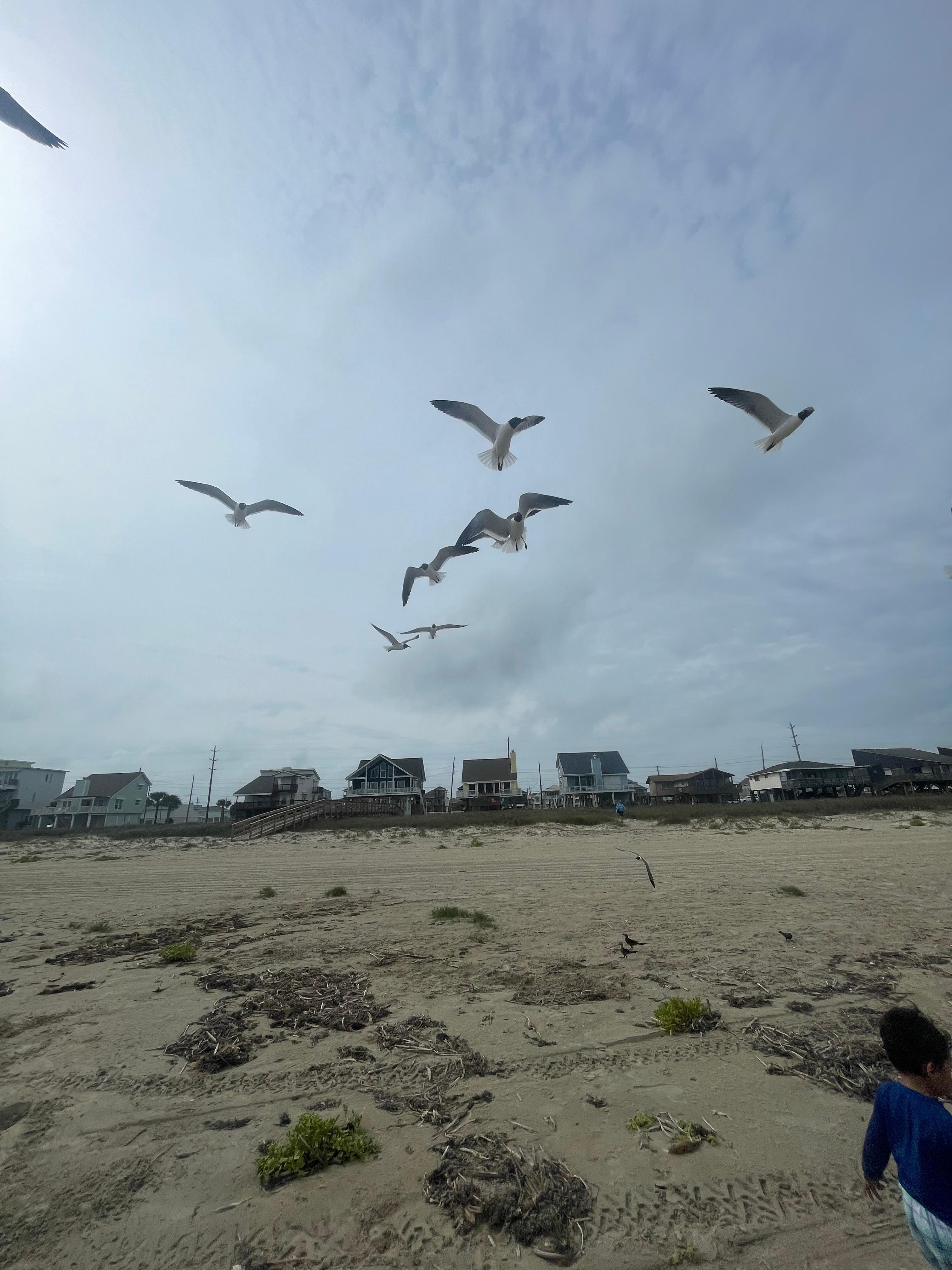 View from beach 