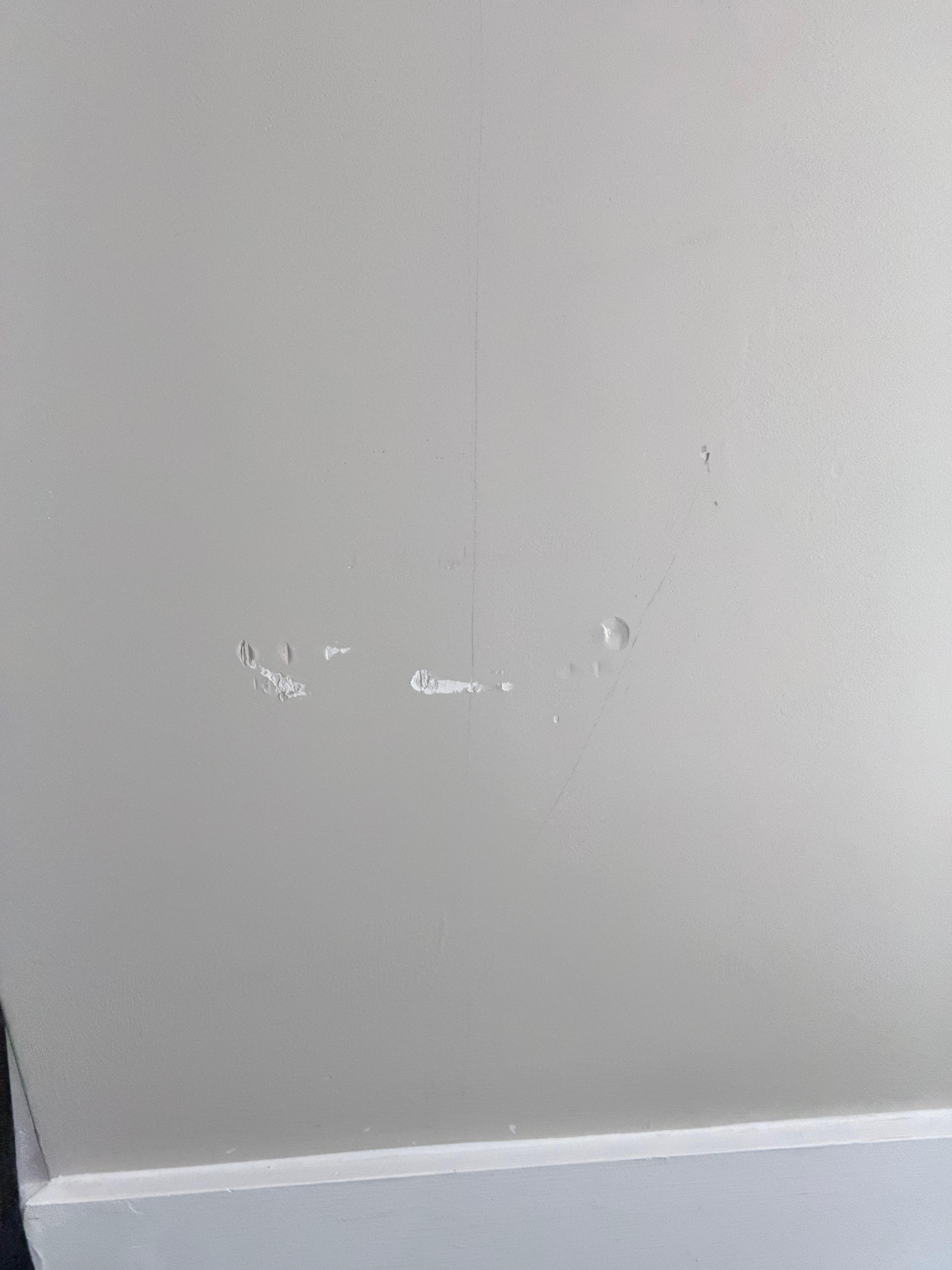 I wish i took a million pics. so many little crappy marks everywhere, worn out place, the toilet seat had a burn mark from someones old curling iron