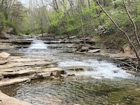 Tanyard Creek