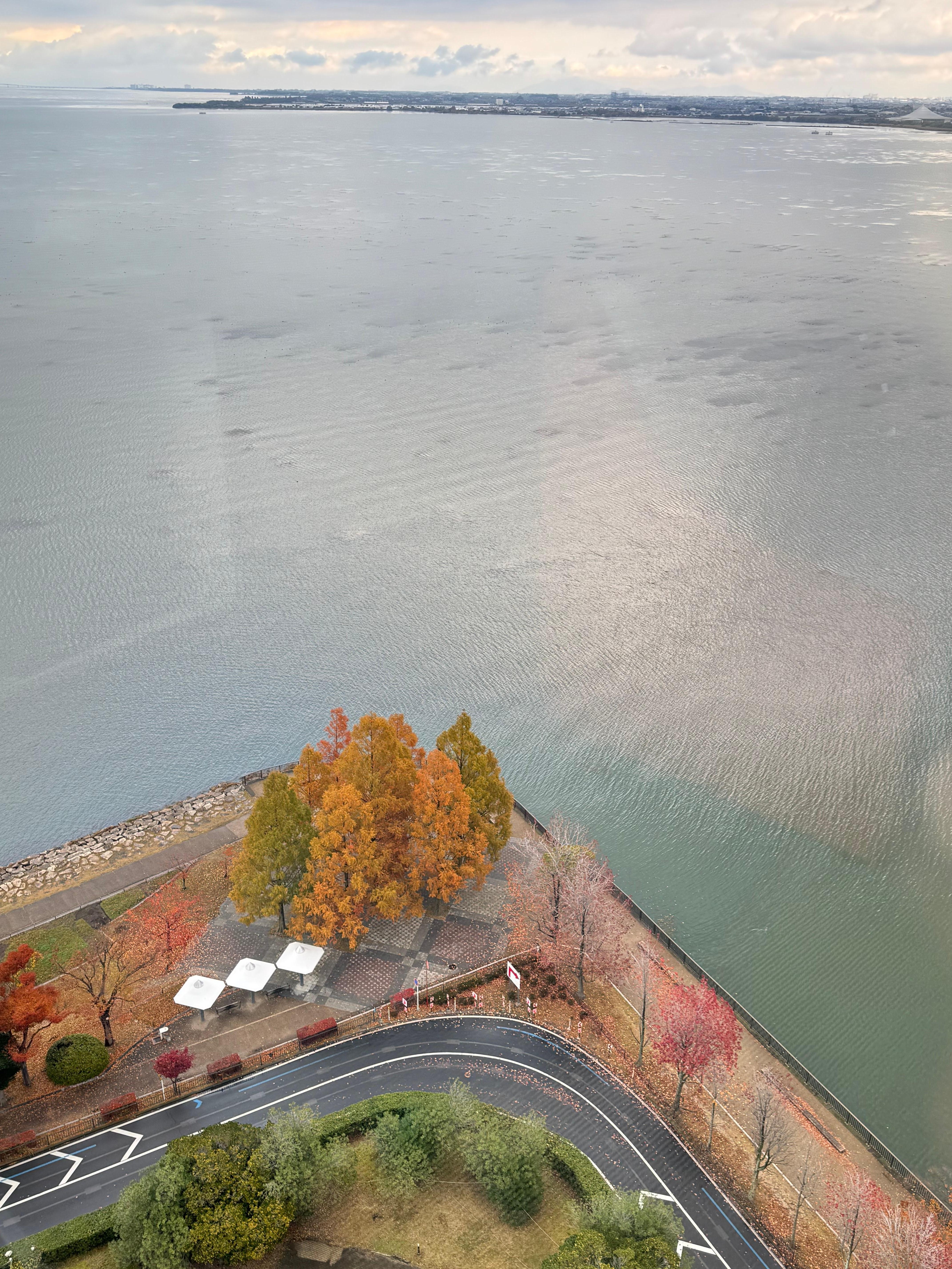 從房间看到外面的风景