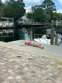 Sunning on the boat dock