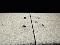 Screws coming out of the pool wall