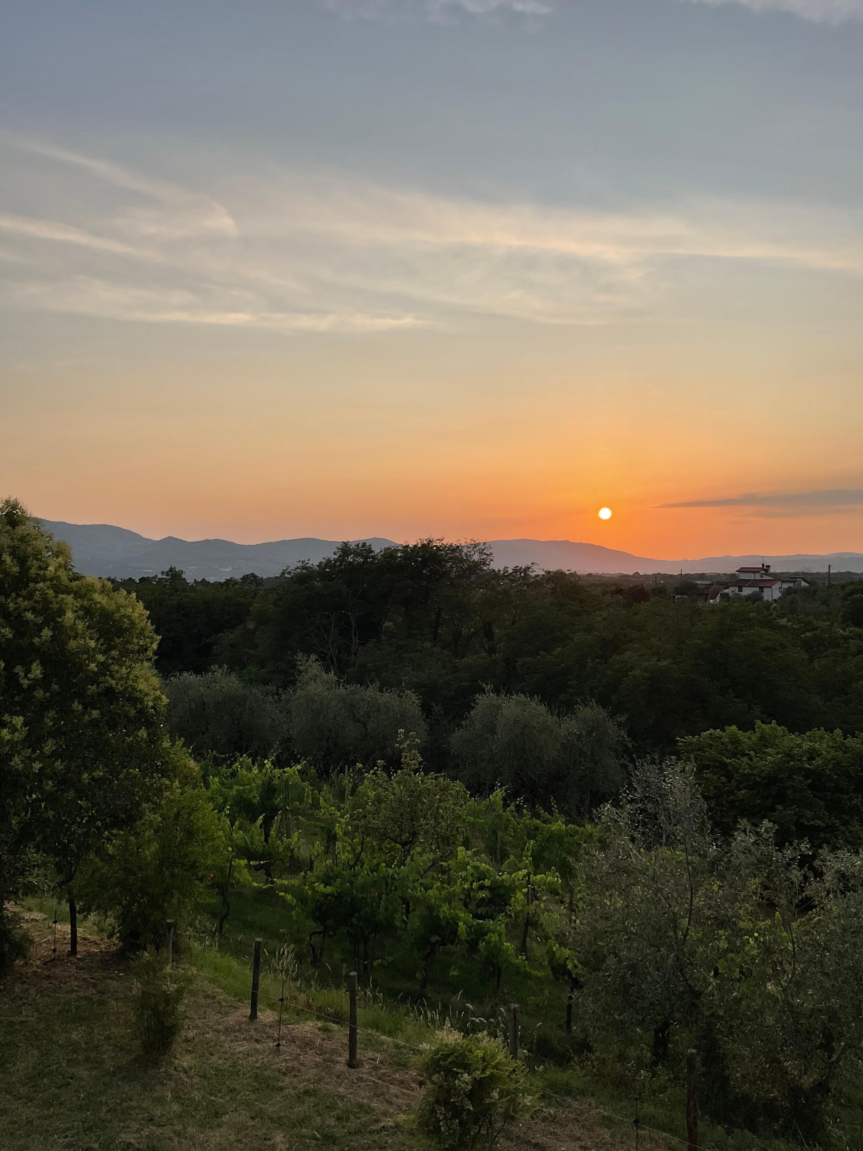 Beautiful sunsets from the patio