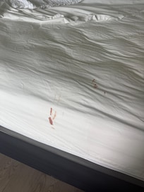 blood on bed