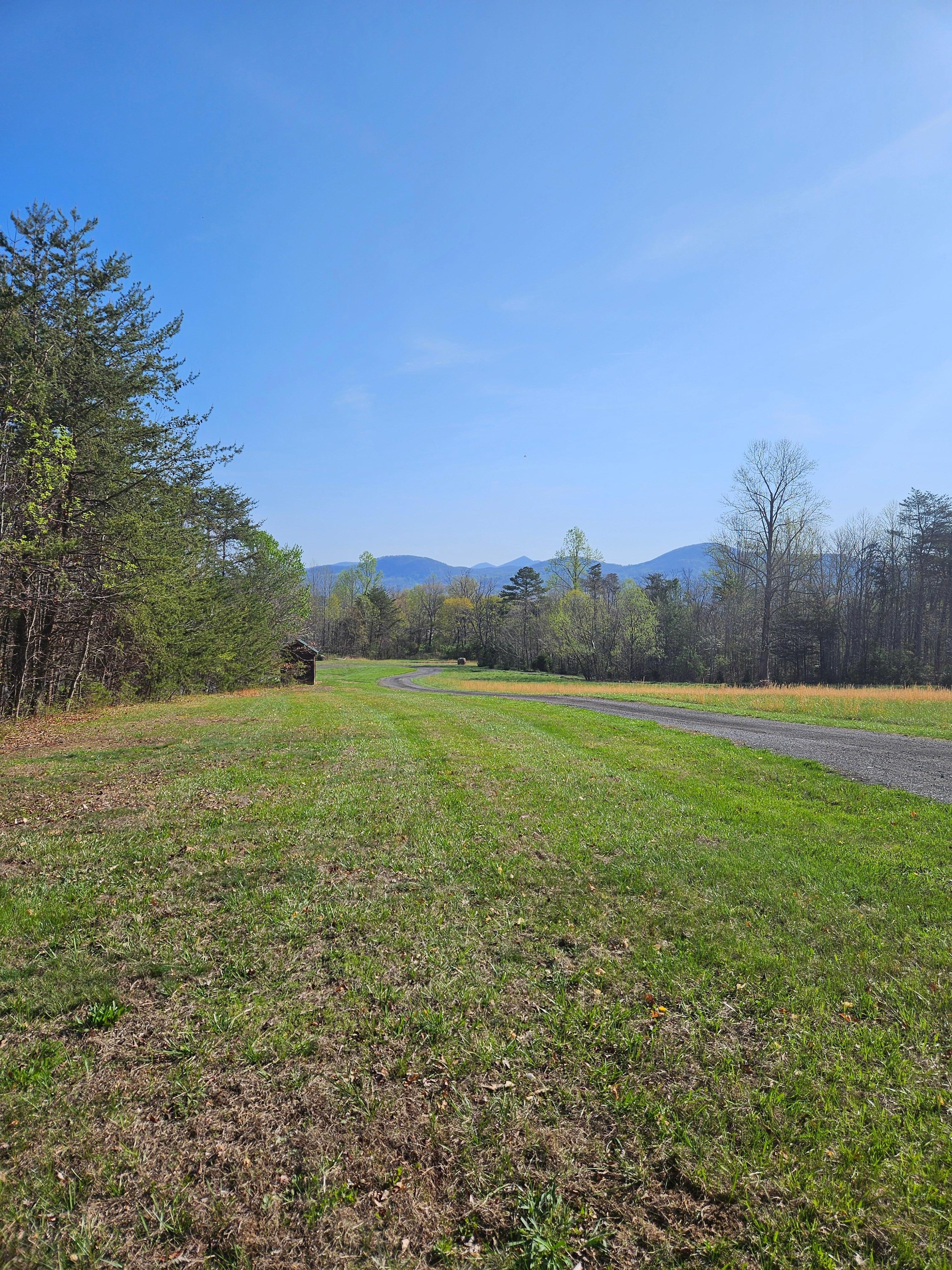 The view from the porch! 