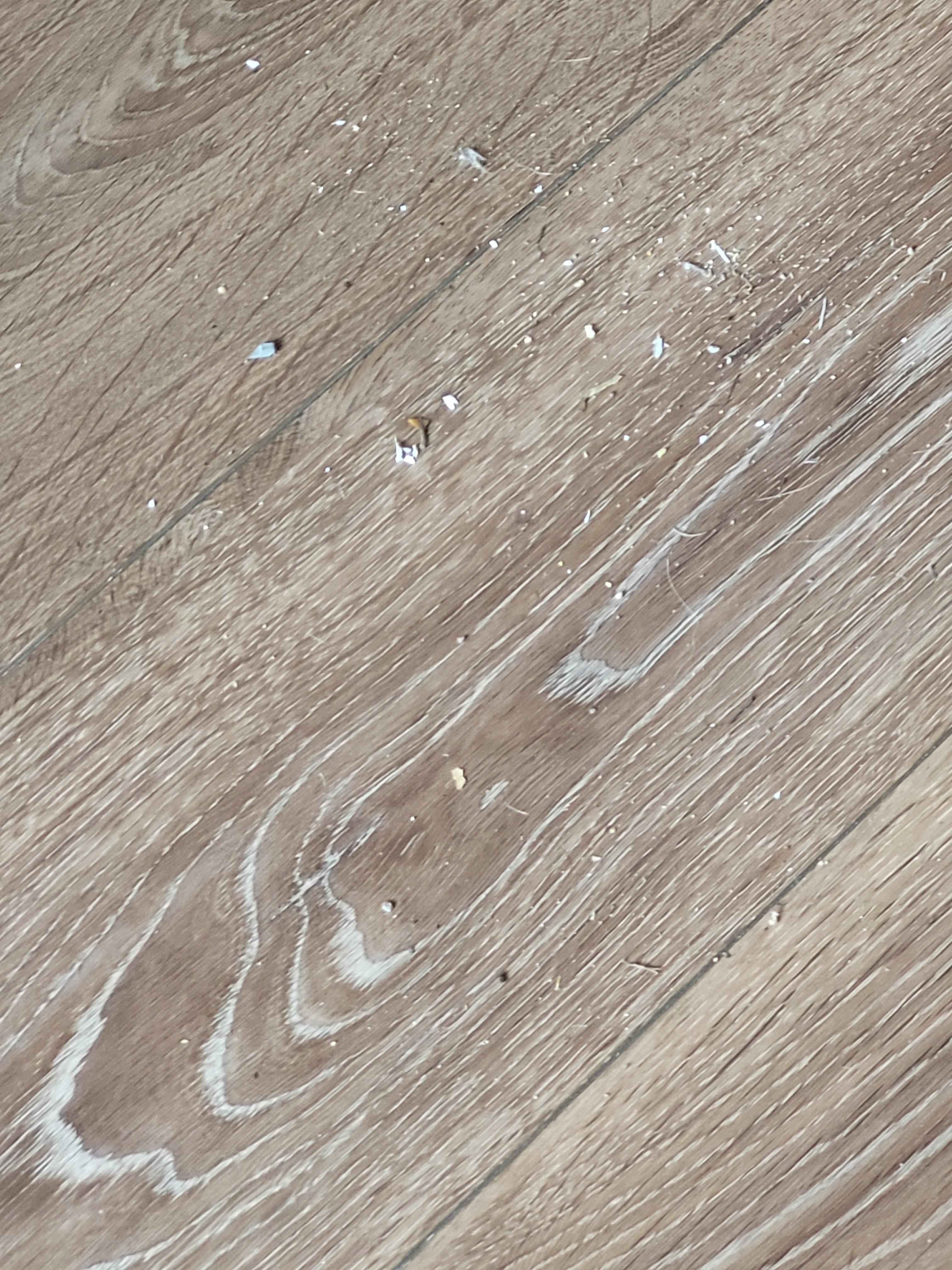 Floor on main level after we swept before we could unload