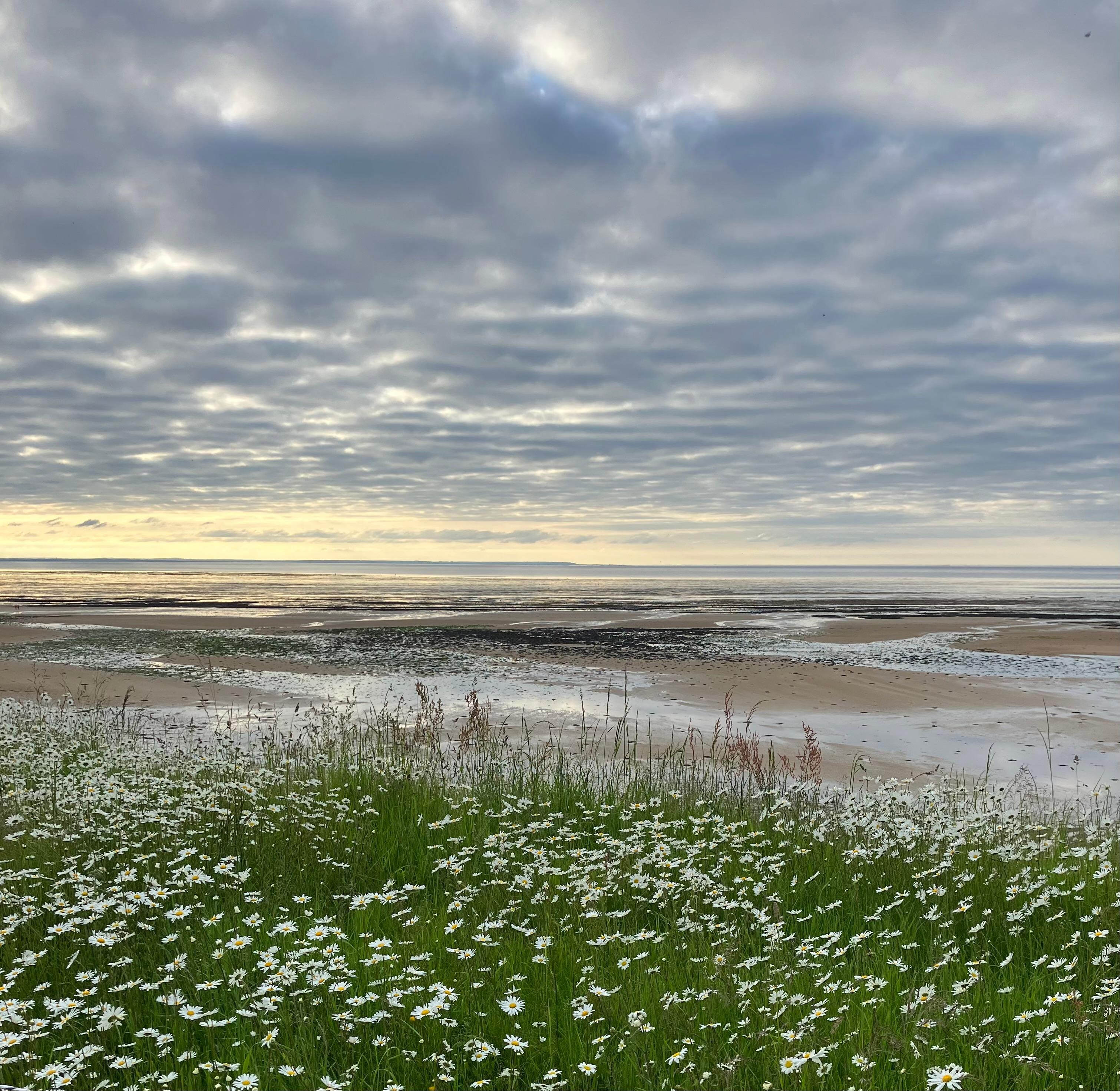 View from garden at à spring tide