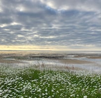 View from garden at à spring tide