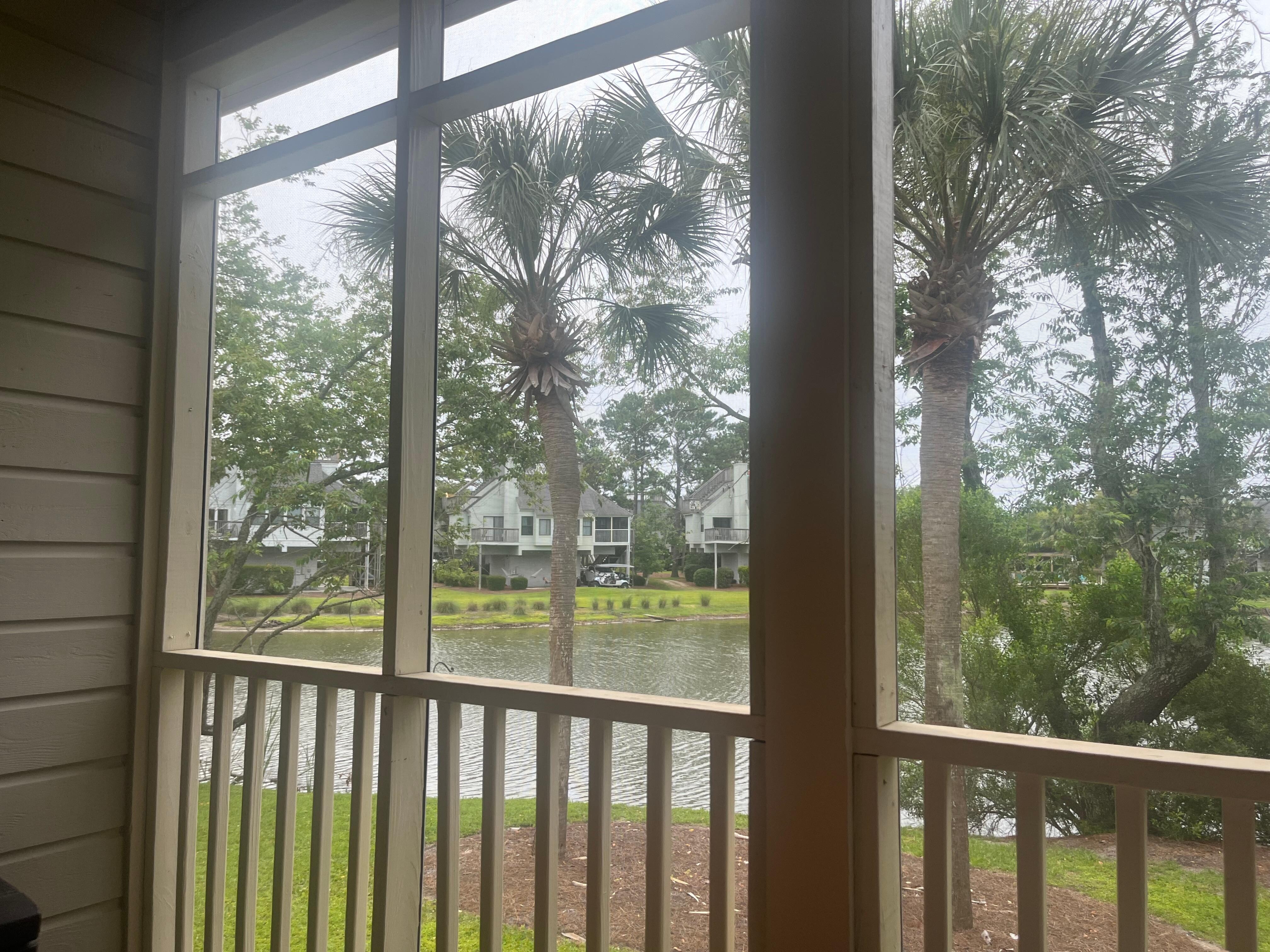 View from
Back porch 