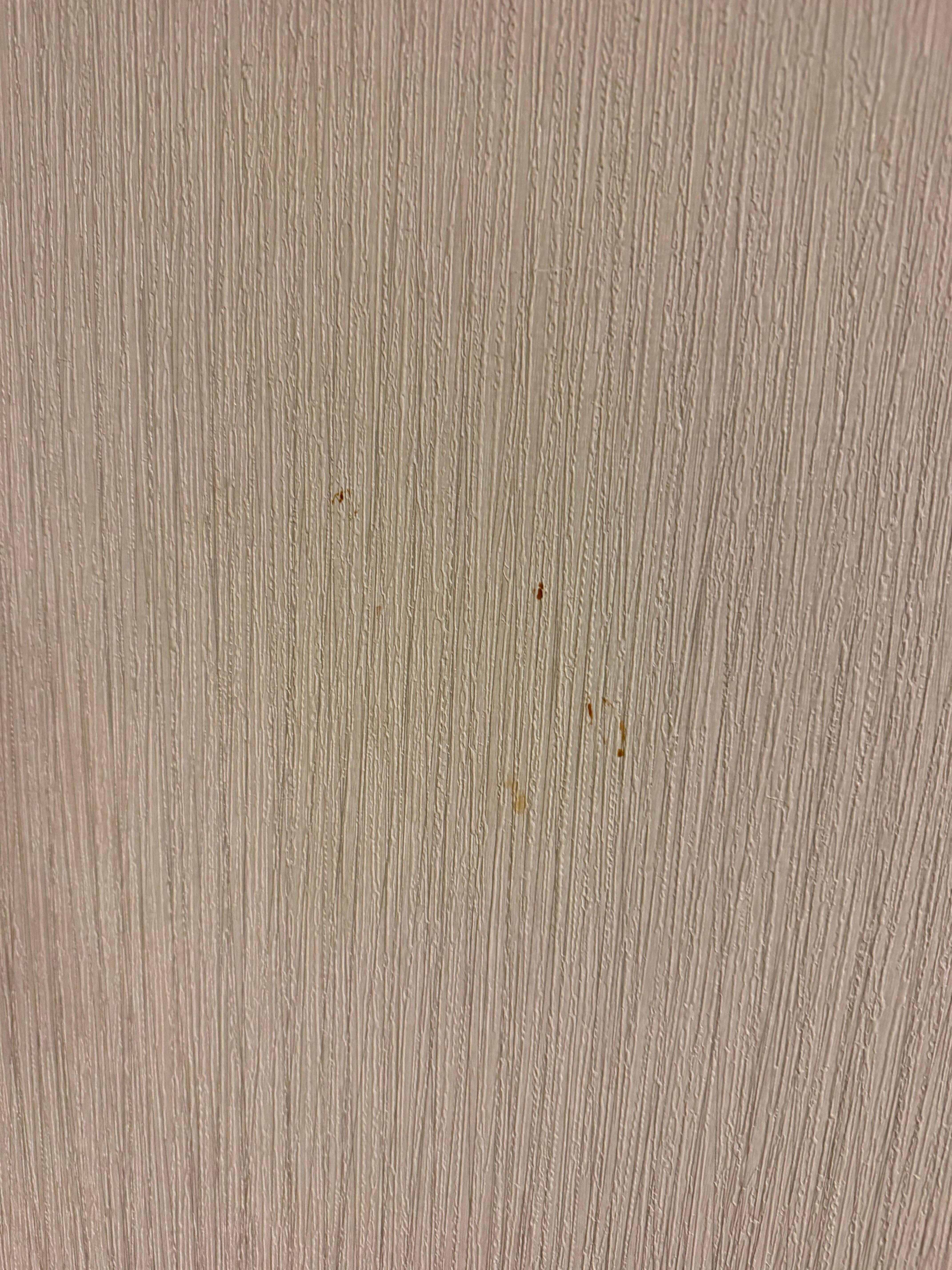 Either blood or ketchup stains 