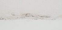 Schimmel an der Wand
