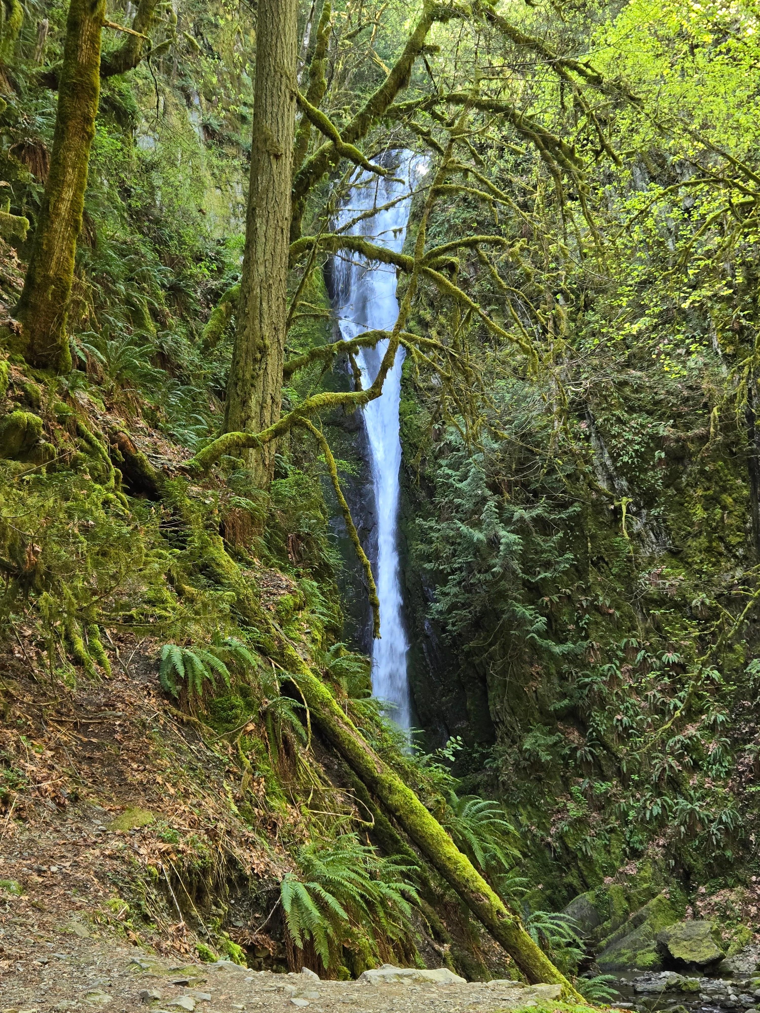 Goldstream National Park 
