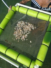 Owners equipment for panning for fossils and teeth