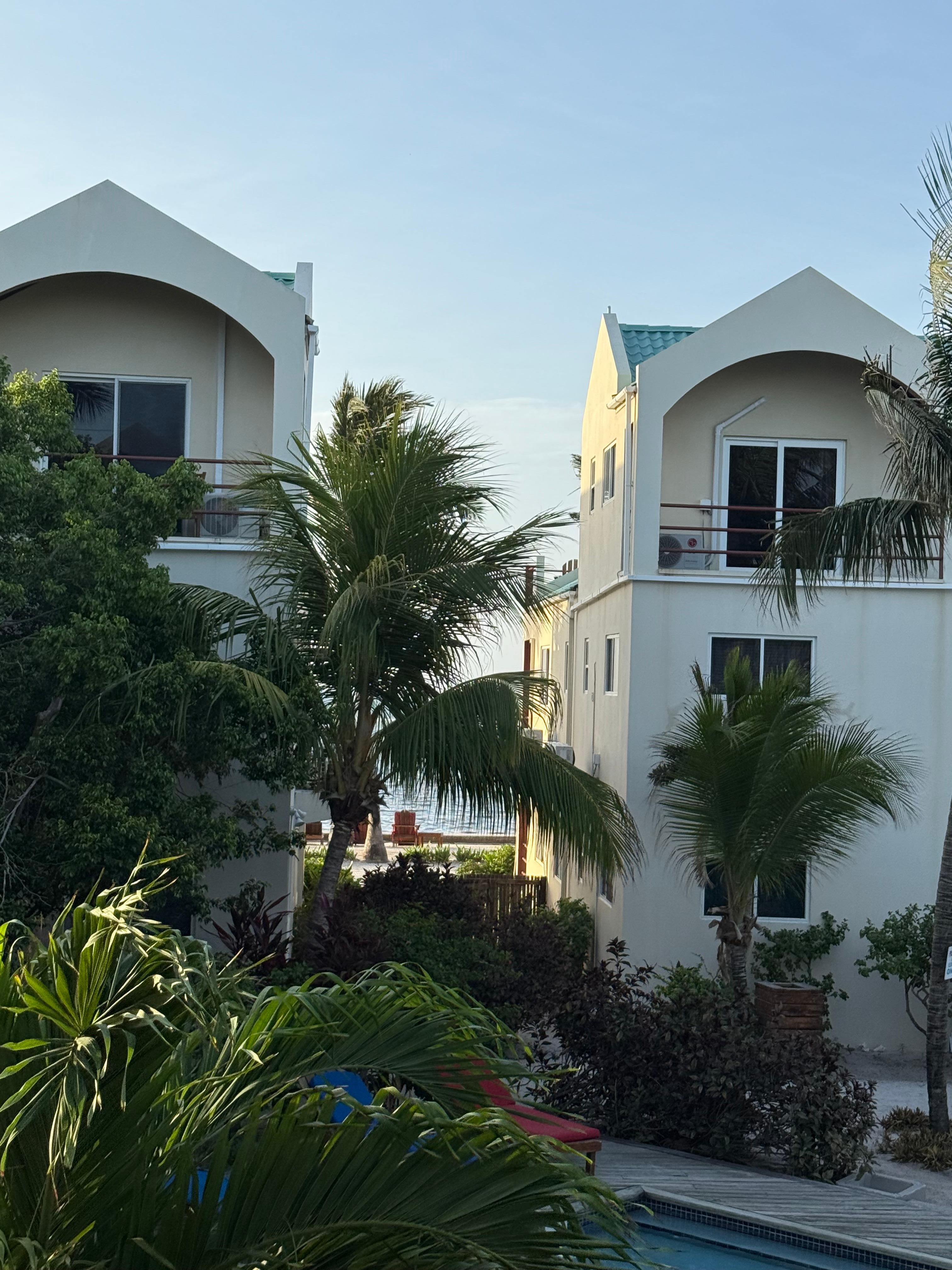 Room view