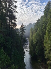 Capilano Suspension bridge