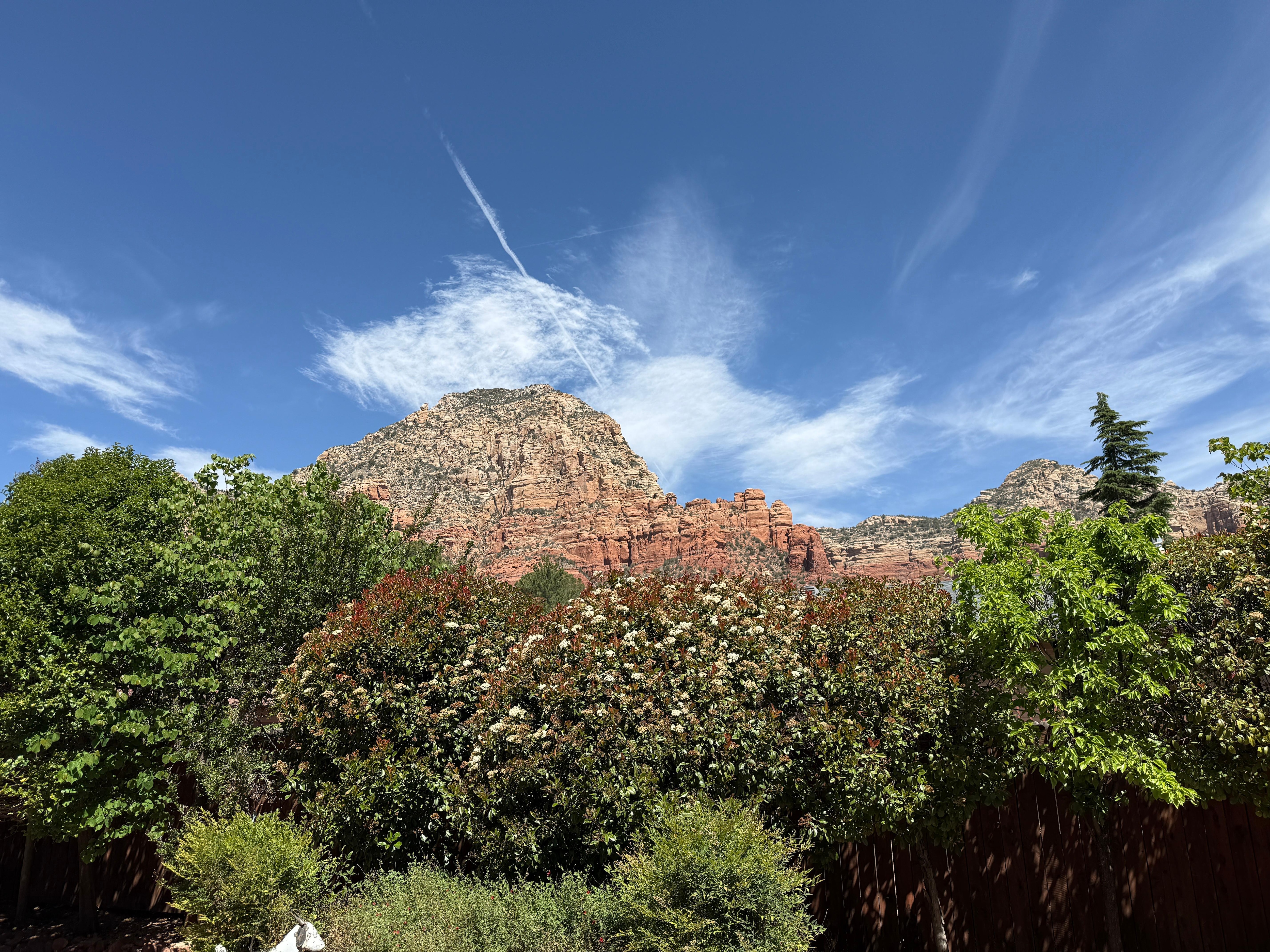 This is the view from the back patio.  