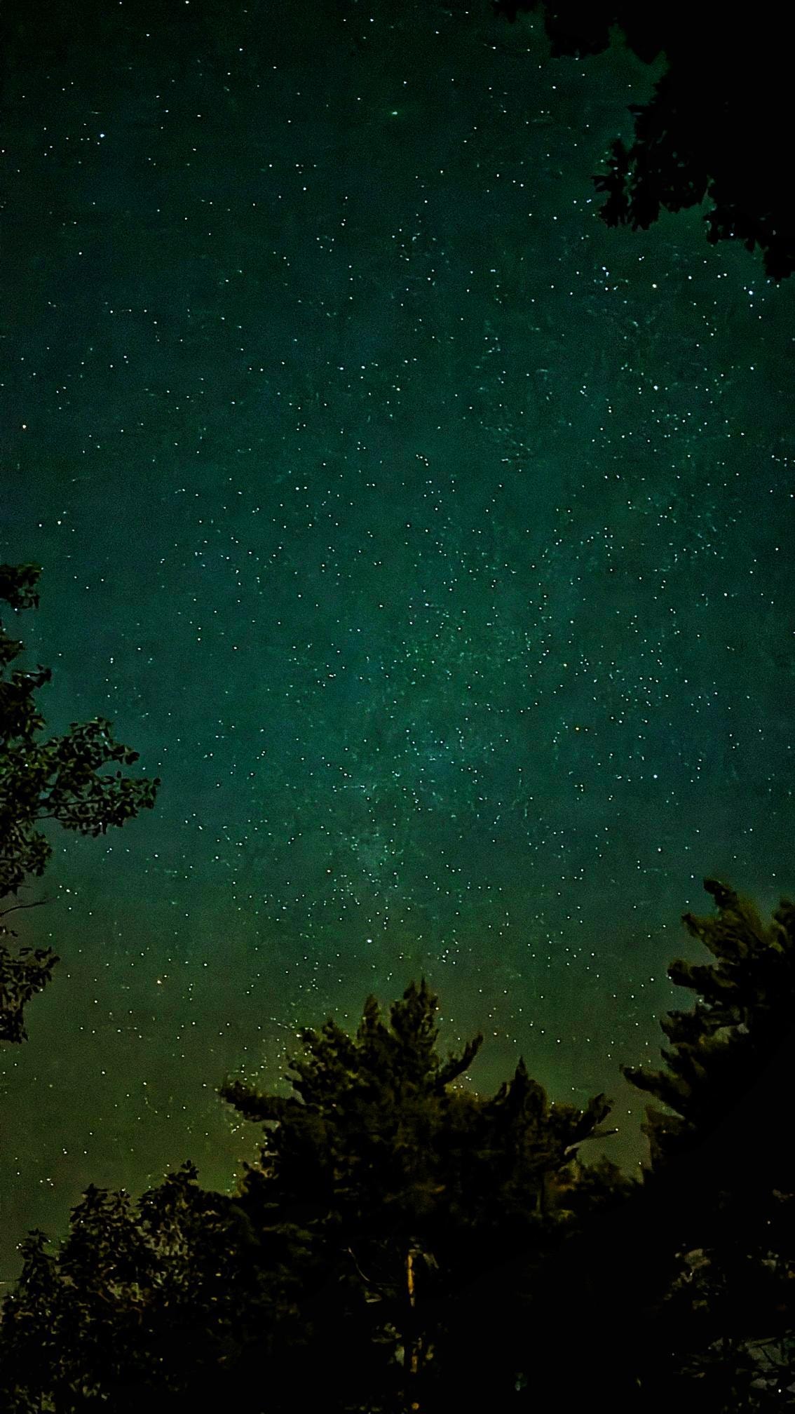 Stargazing the Milky way