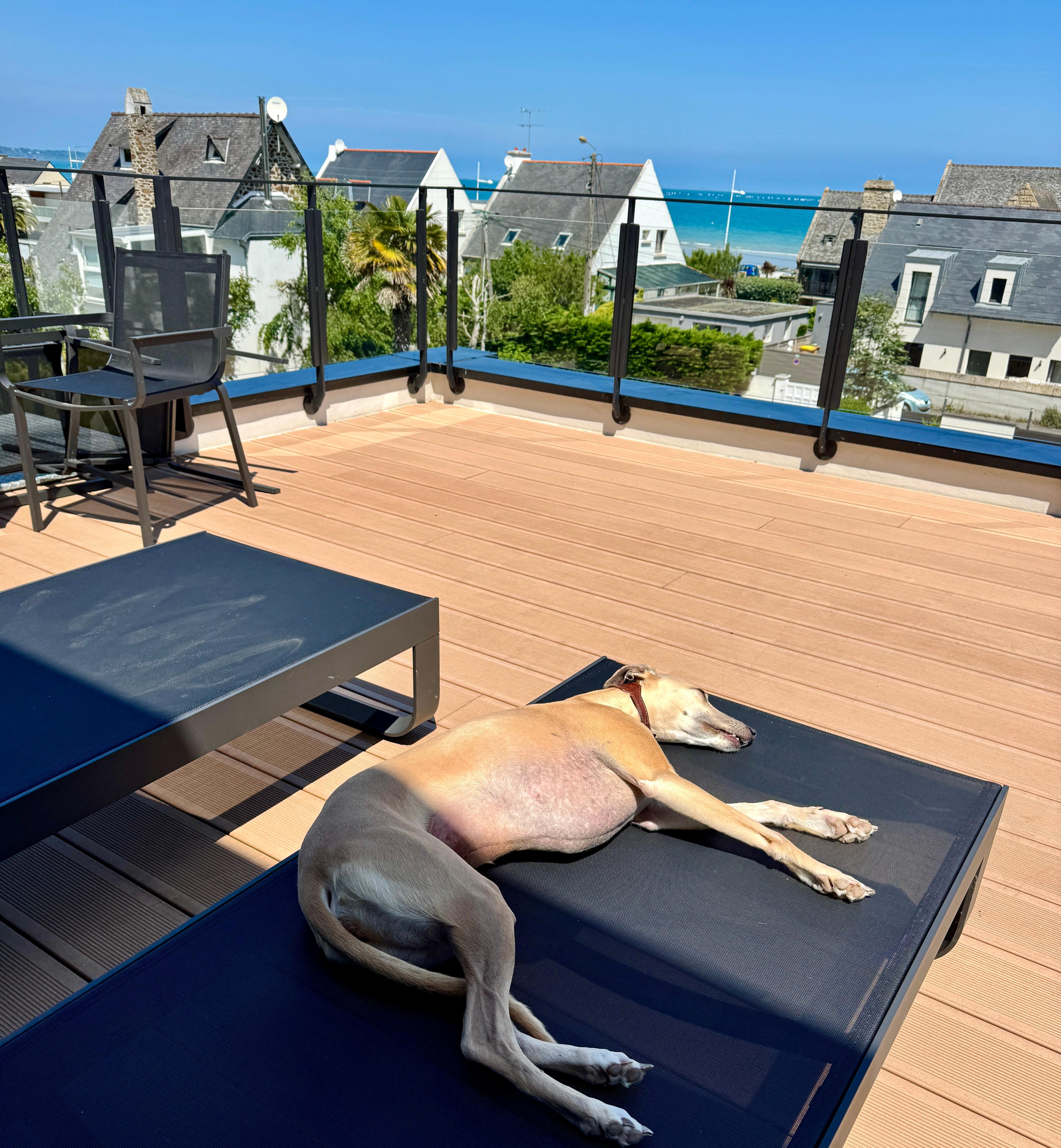 Bain de soleil  sur la terrasse