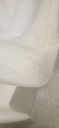 Stained shower curtain.