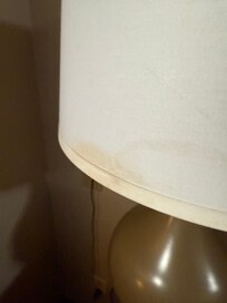 Mold?