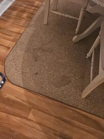 Dirty nasty carpet