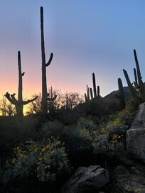 This was taken within steps of the condo