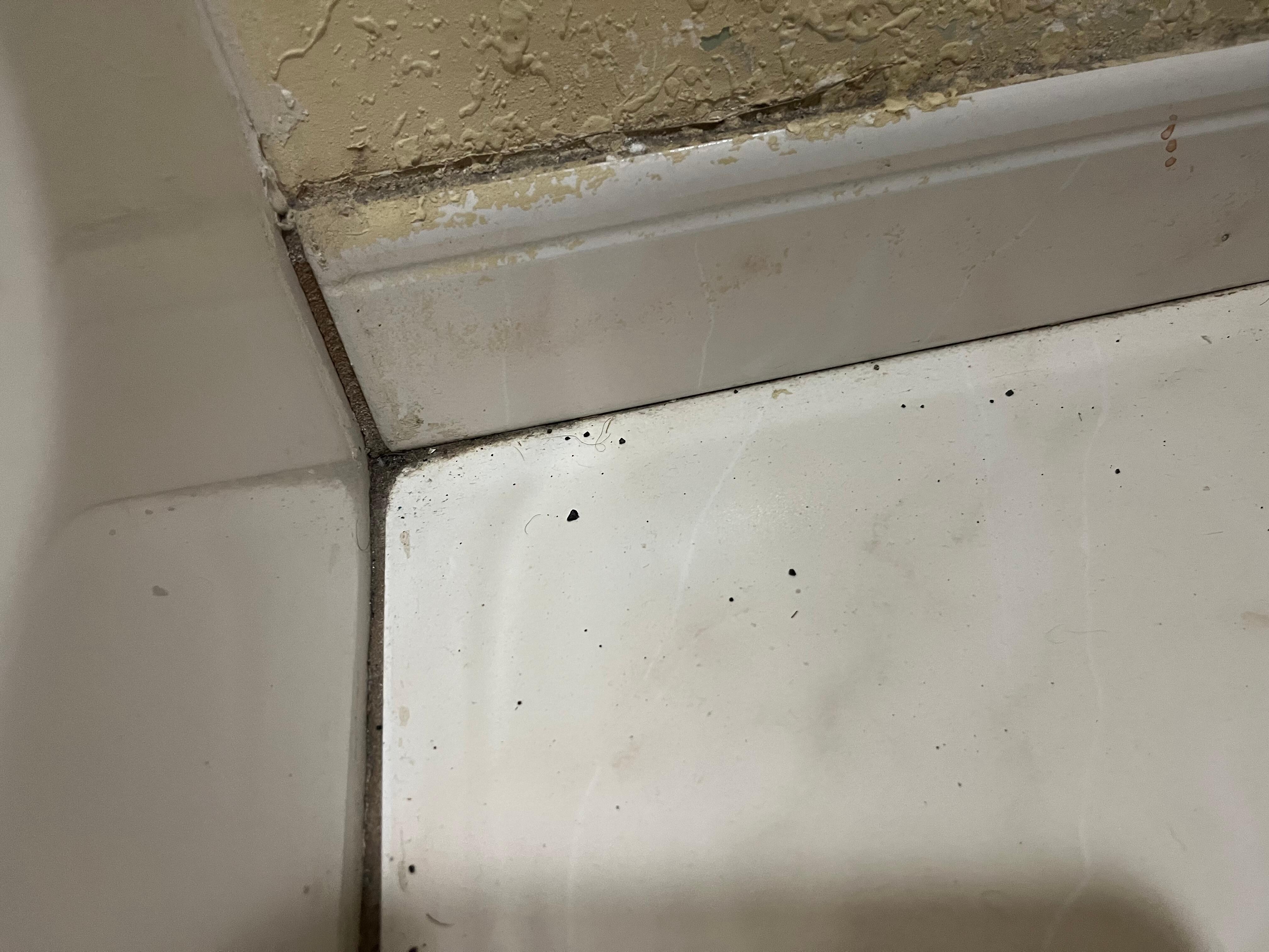 The bathroom floor had ash, dirt and hair from previous occupants 