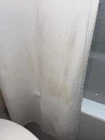 Fresh urine stained shower curtain and toilet area with strong urine aroma. Closer look