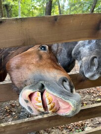 We loved getting to know our neighbors.