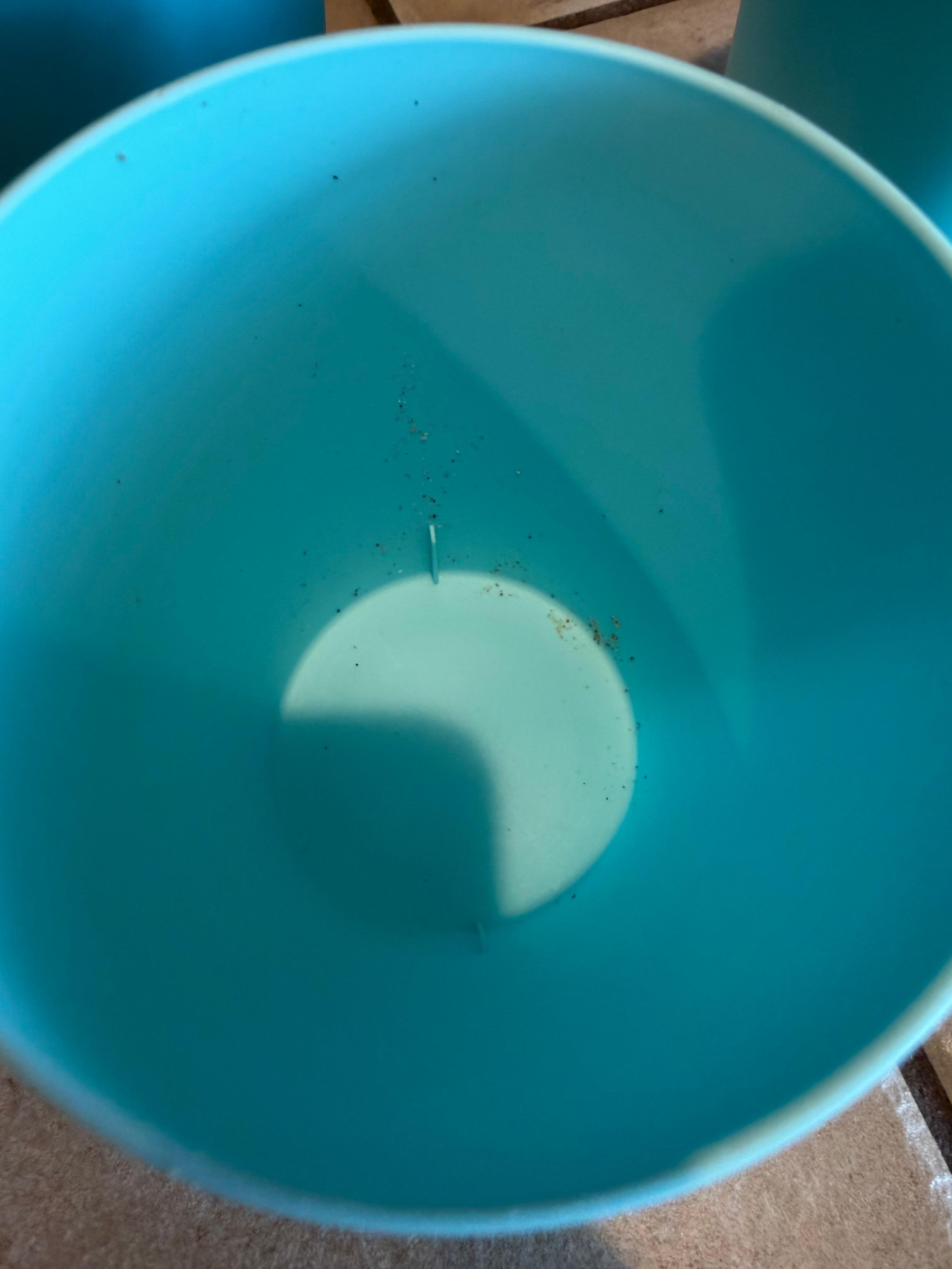 Dishes were dirty 