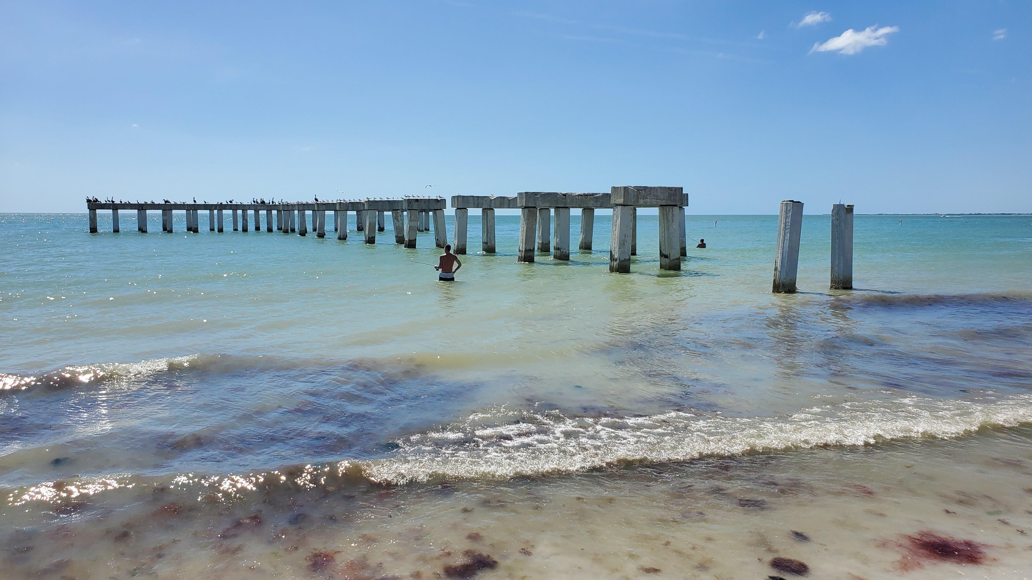 Penguin hangout (used to be Fort Myers Pier)