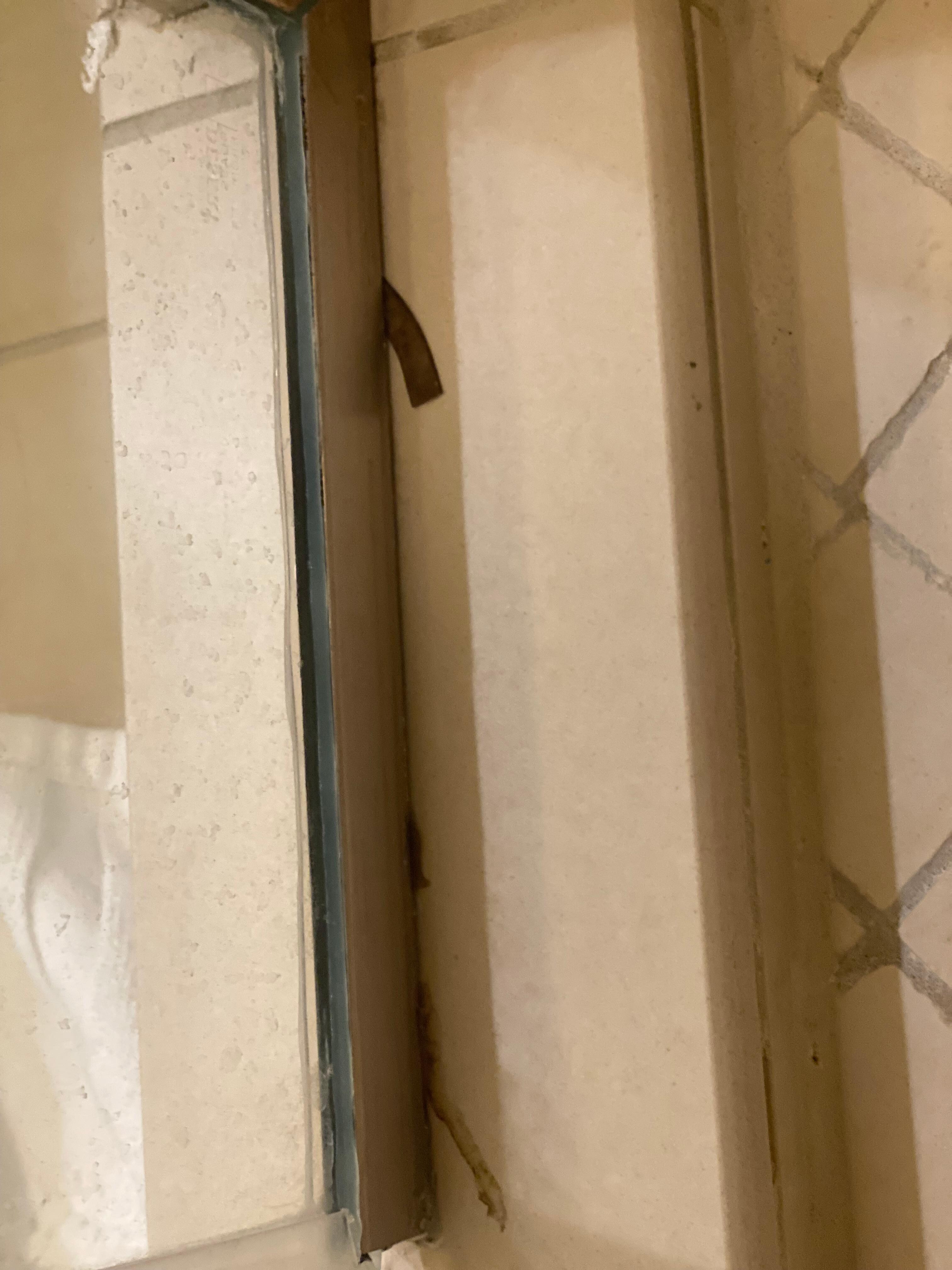 Mold 