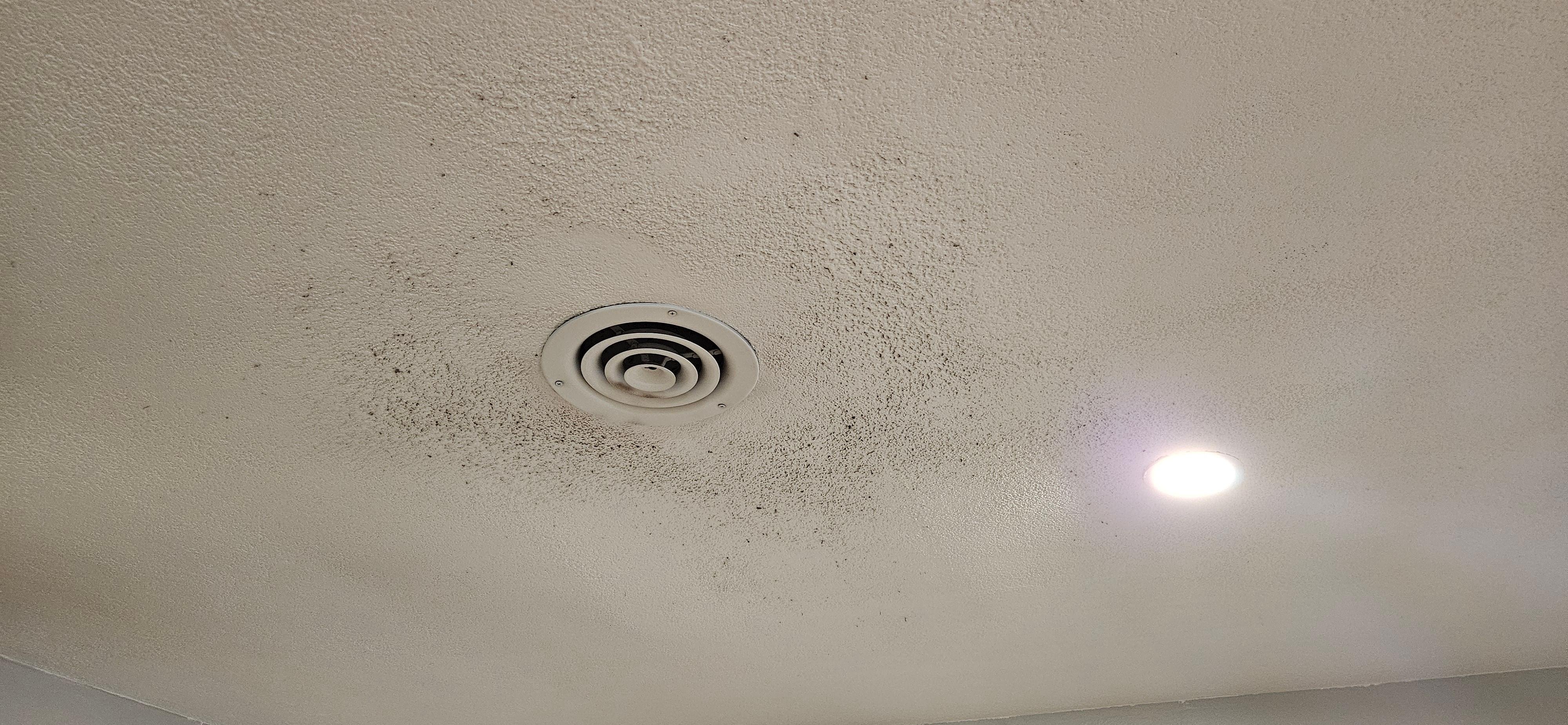 Dust bunnies around one of several vents.