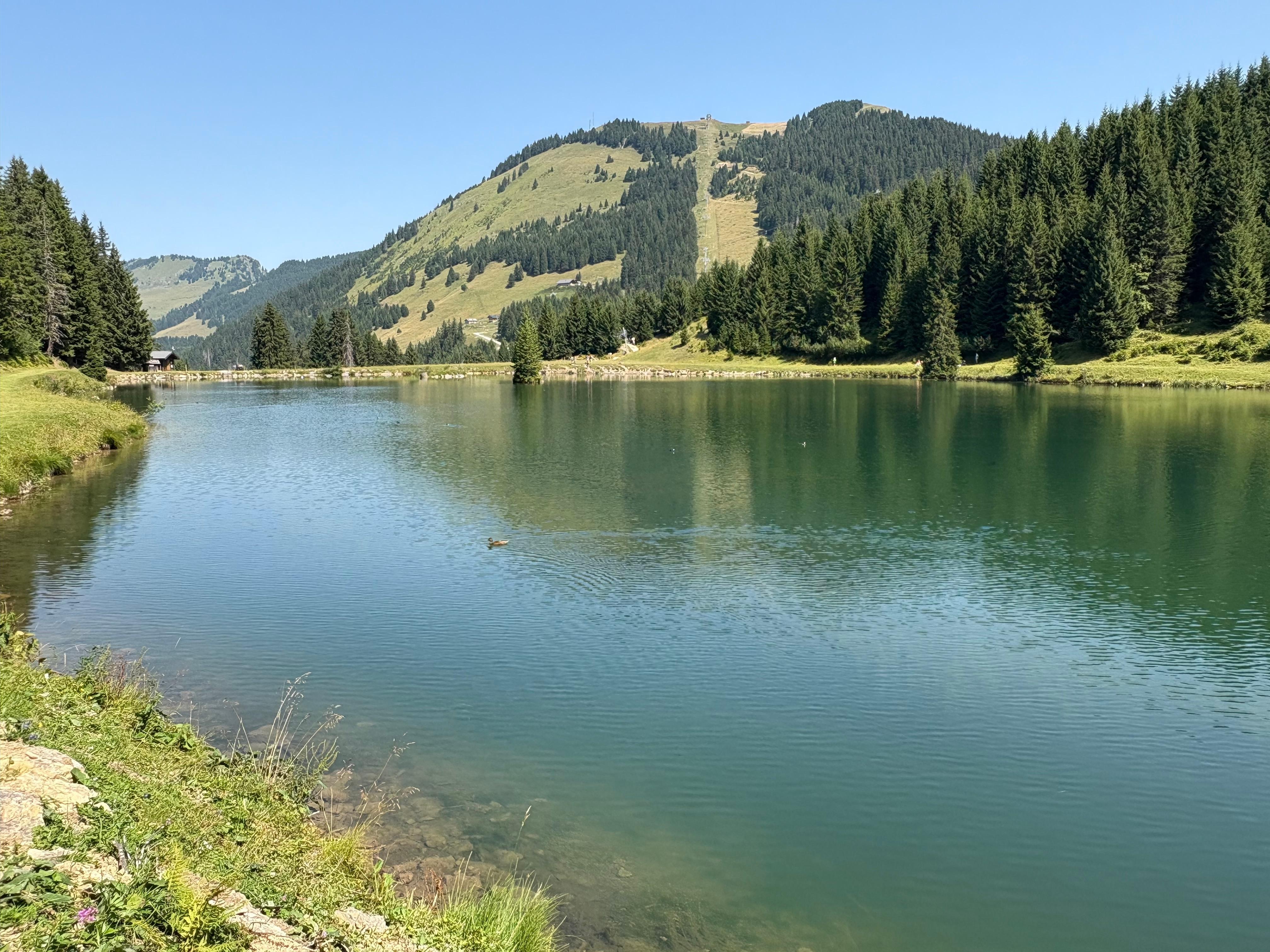 Nearby lake, easy access from Super Chatel