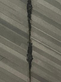 Scum/ mold on the floor in the room