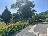 Beautiful grounds around the house.