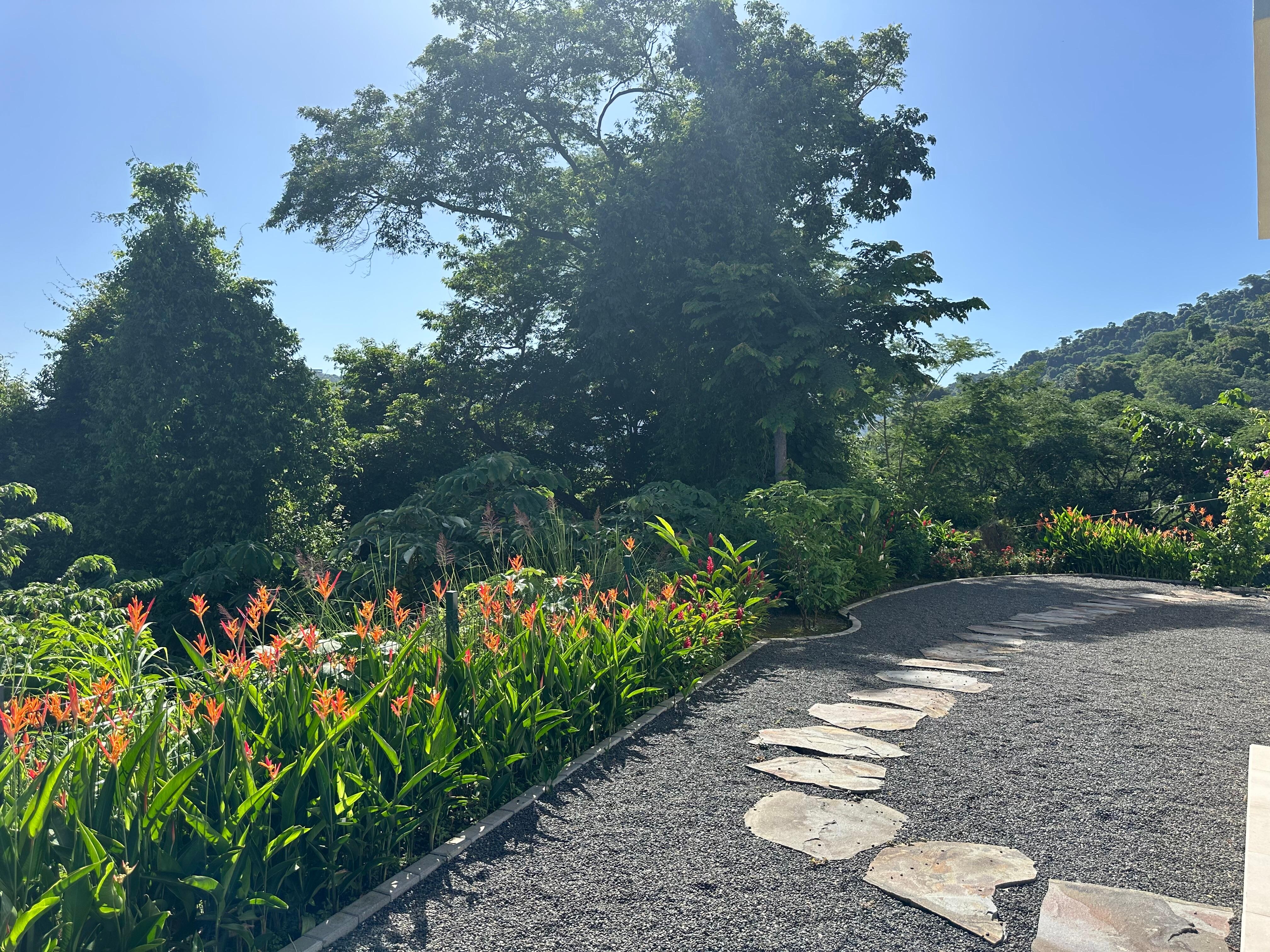 Beautiful grounds around the house.  