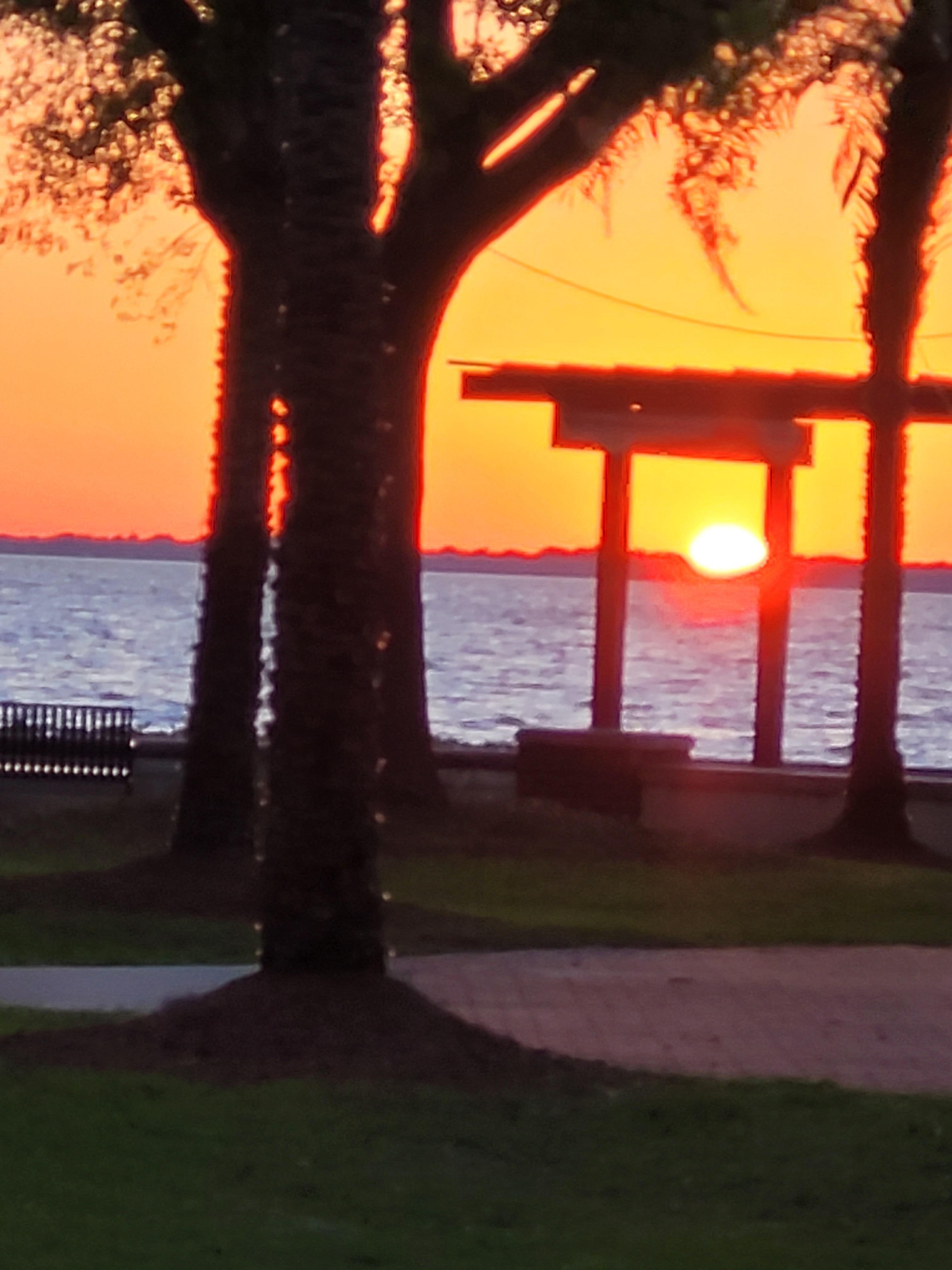 Lake Mt. Dora strolling