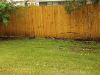 back side of the fence is 8" off the ground, it states in description this is pet friendly, with fenced in yard. animals can come in and out anytime