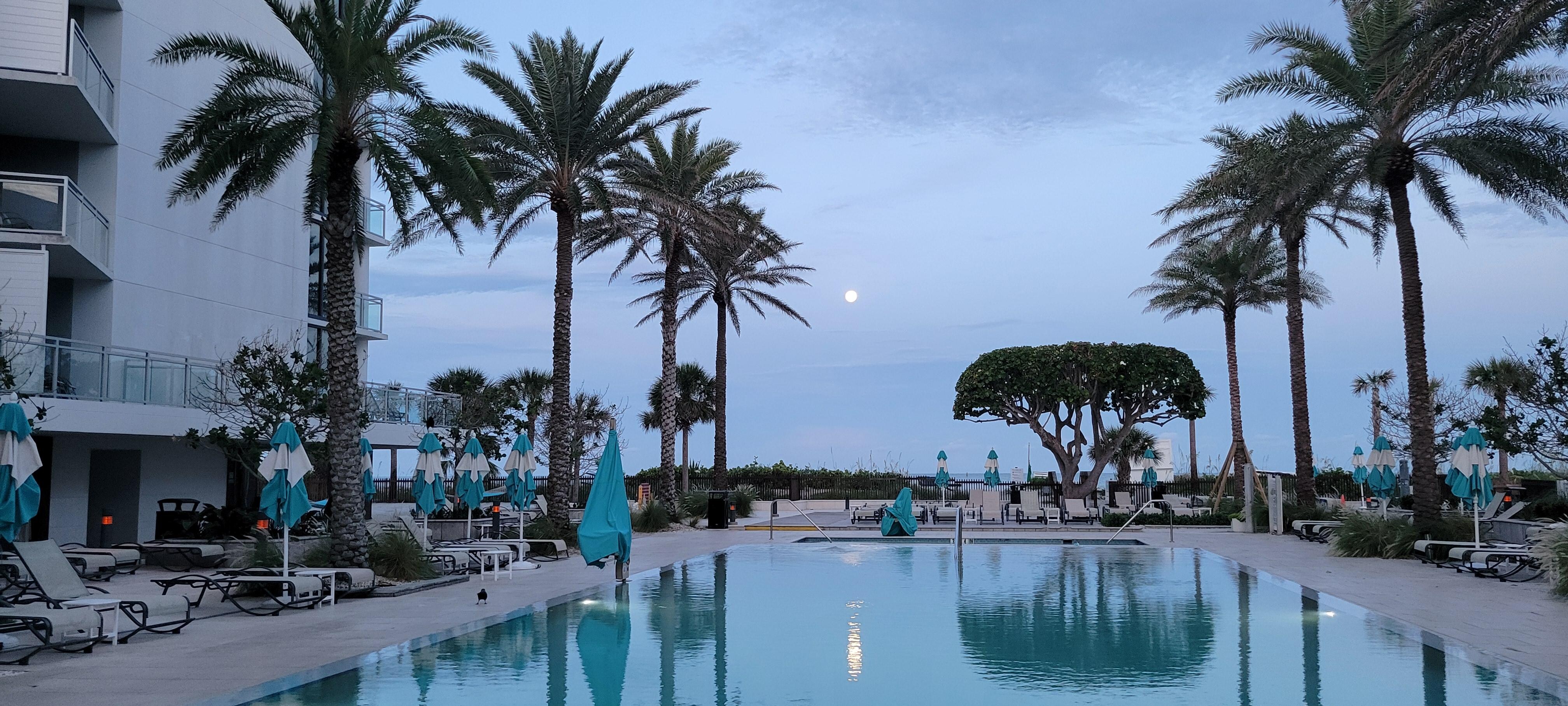 Pool area, early morning